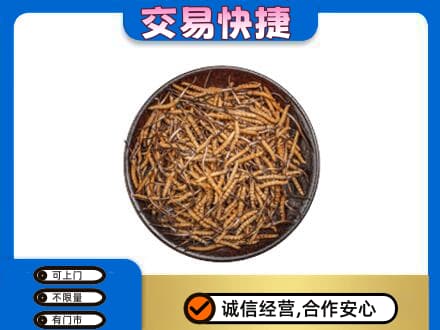 济南济阳区回收散虫草